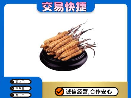 伊犁州沙湾县回收冬虫夏草多少钱每克